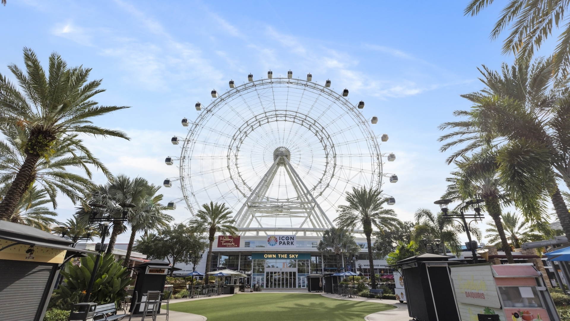 A ground-level view of the large white observation wheel at ICON Park, framed by palm trees and a central green lawn.